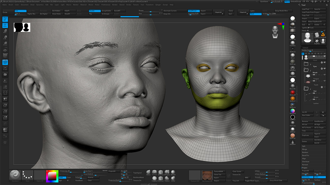 Download Zbrush head sculpt